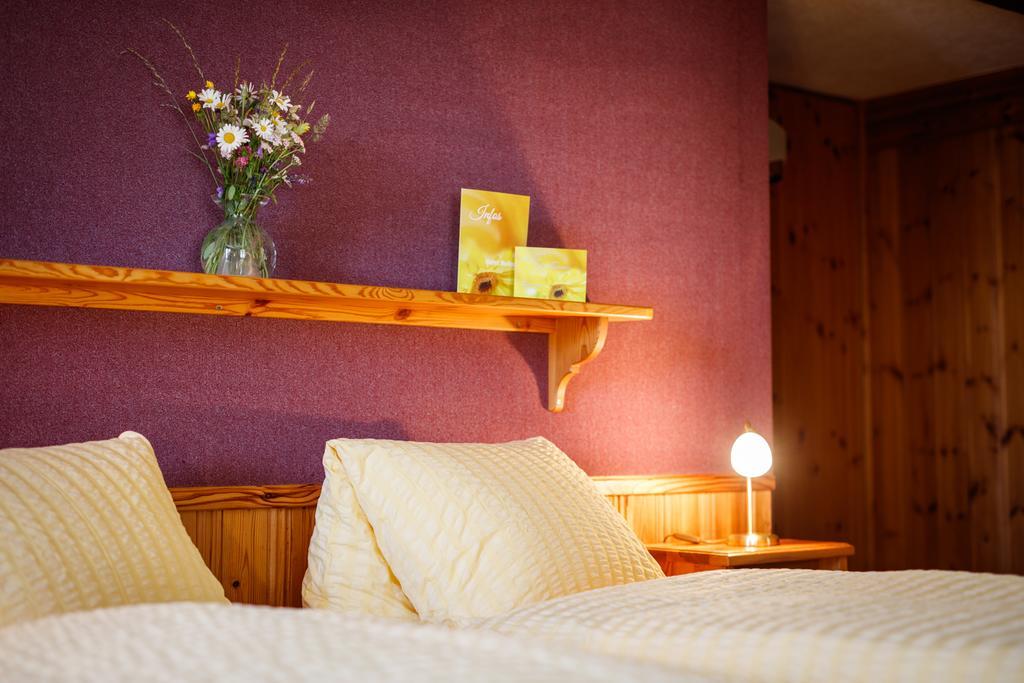 Hotel Nufenen Ulrichen Εξωτερικό φωτογραφία